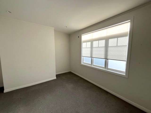 412 Richmond Road Grey Lynn_4