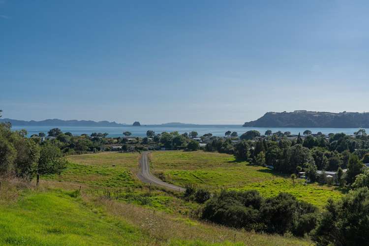 32 Ara Mata Cooks Beach_8