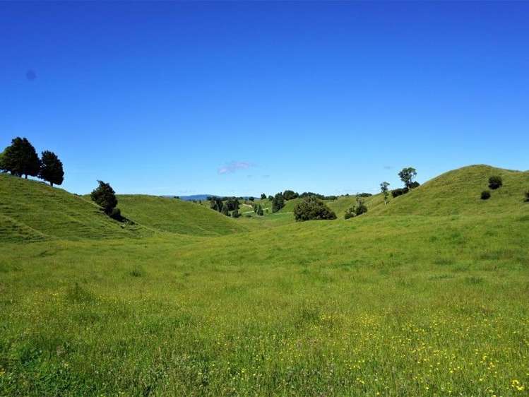 1788 Manawahe Road Manawahe_10