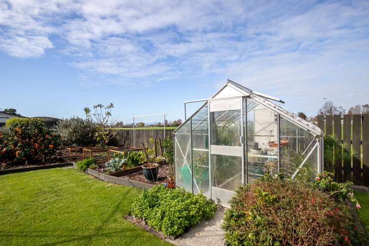 5 Mcquarrie Place Ngatea_18