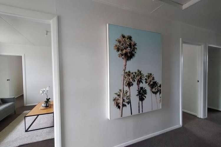 84 Pine Avenue Melville_7