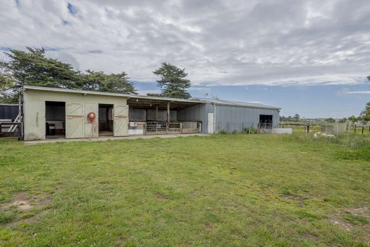 177 Mako Mako Road Levin_16