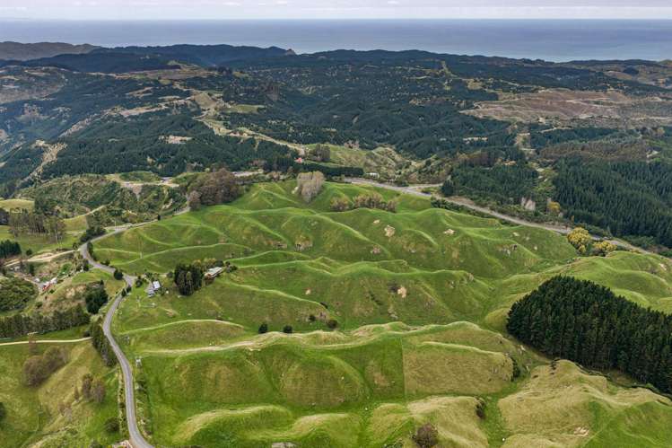 81 Kaiwaka Road Tangoio_2