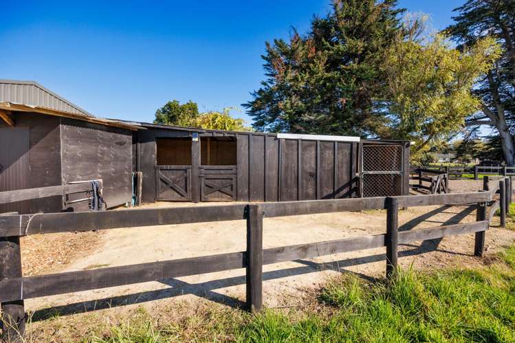 292 Kairanga Bunnythorpe Road Bunnythorpe_43