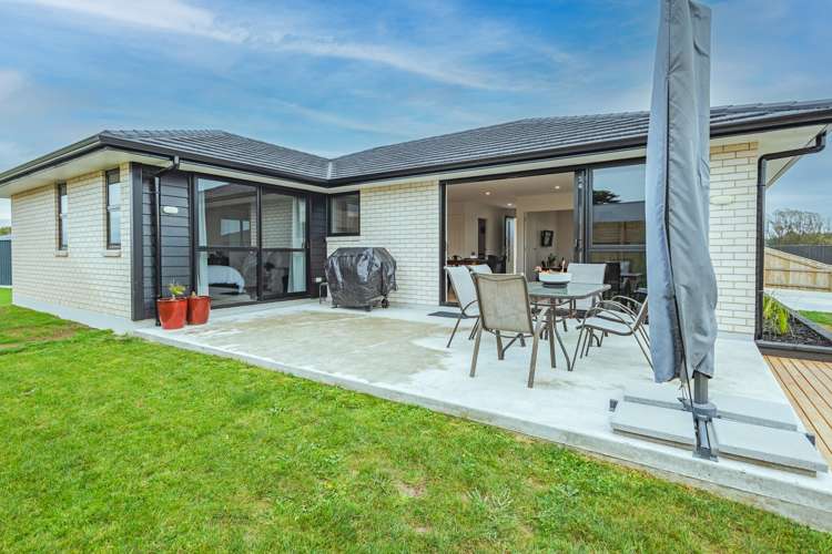 23 George Street Bulls_5