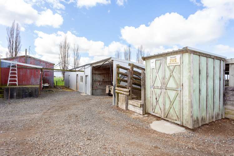 208 Diagonal Road Morrinsville_14