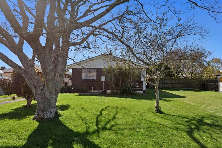 46 Bracken Street Whakatane_19