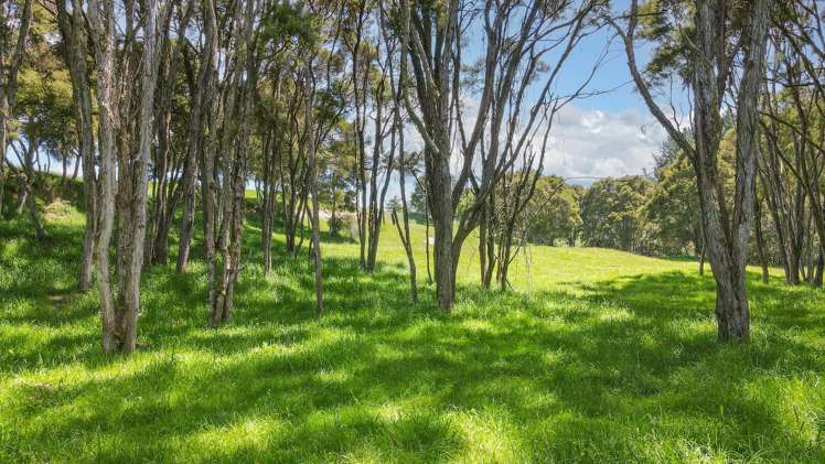 72 Gears Road Kinleith_17