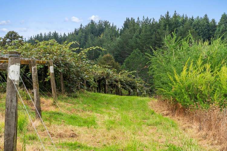 99 Homewood Drive Te Puke_20