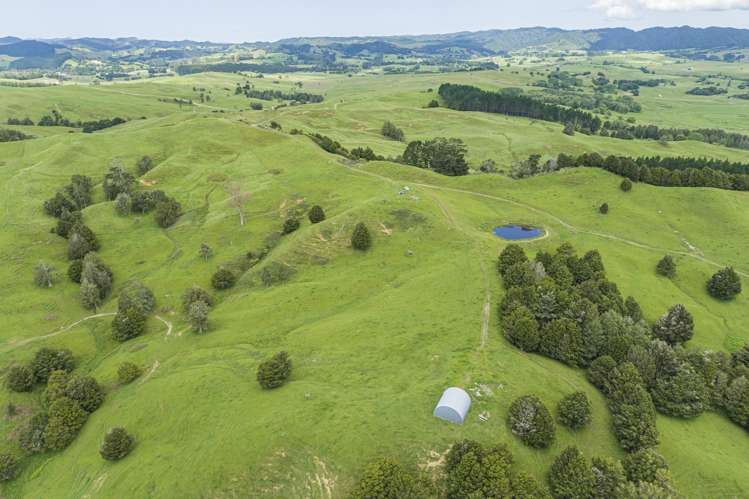 282 Taipuha Station Road Otamatea Surrounds_18