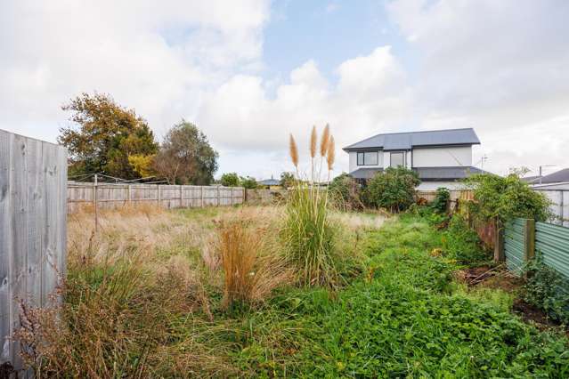 24a Tyne Street Roslyn_1