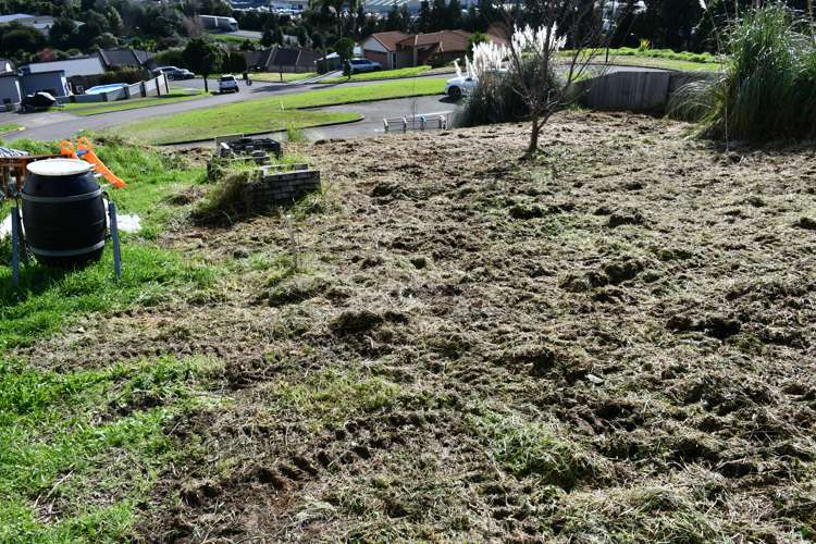 30 Te Otinga Place Pyes Pa_6