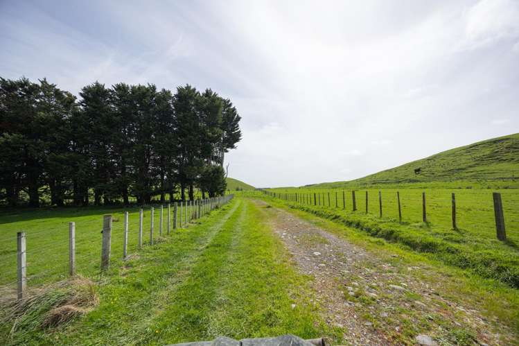 137 Zigzag Road Pohangina Valley_19