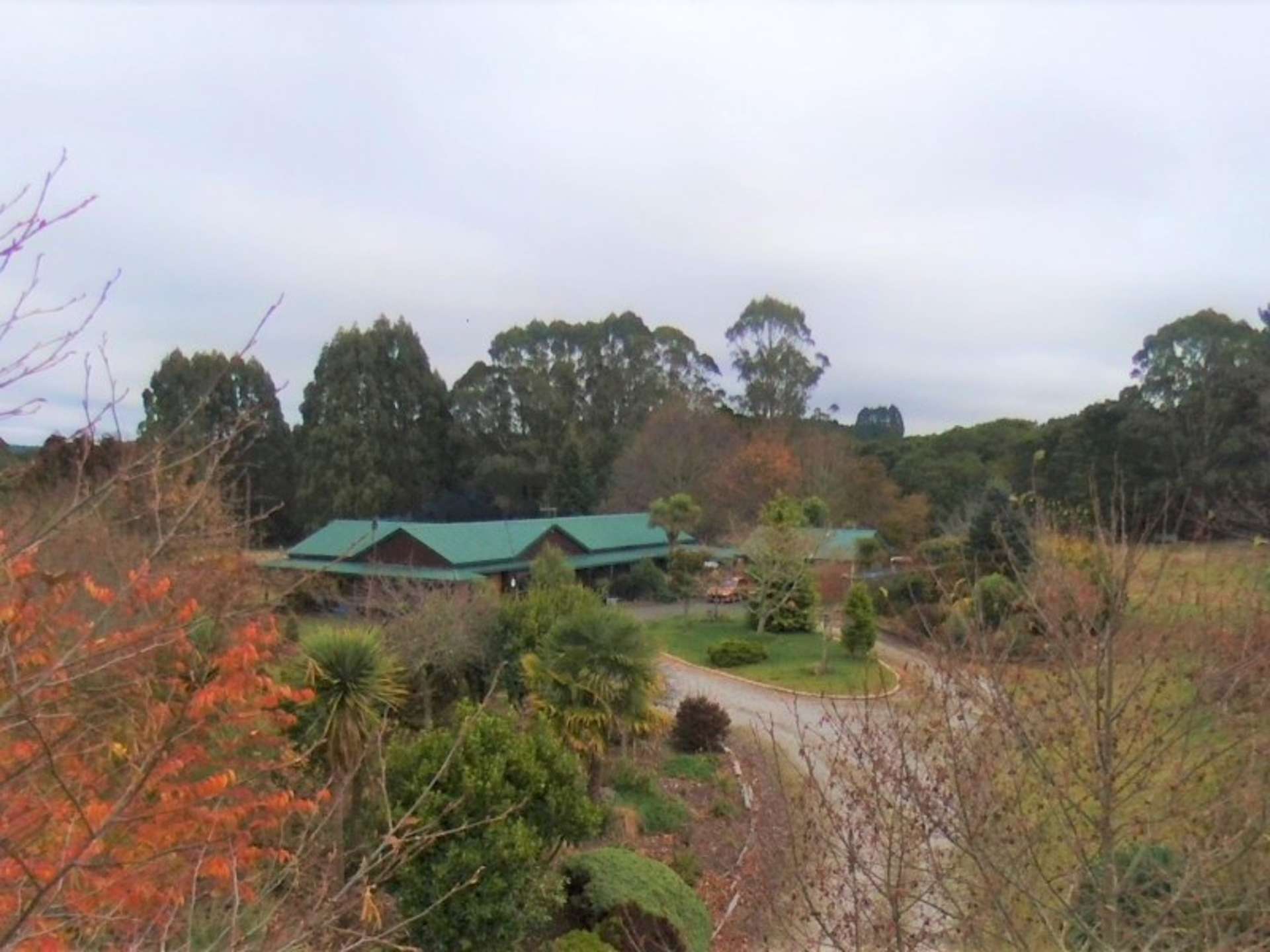 726 Whangamata Road Kinloch_0