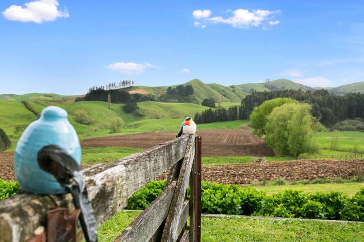 45 Ellicott Road Rotoorangi_19