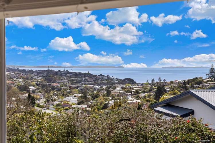 163a Kowhai Road Mairangi Bay_6