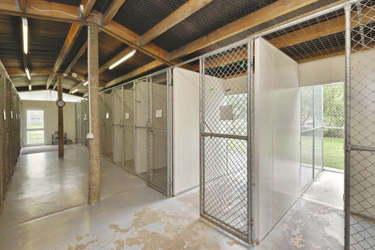 459 Fernside Road Fernside_13