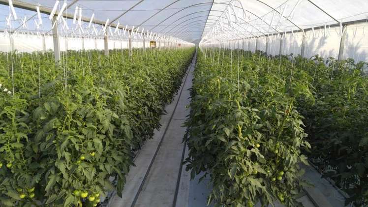 507b Harrisville Road Buckland_9