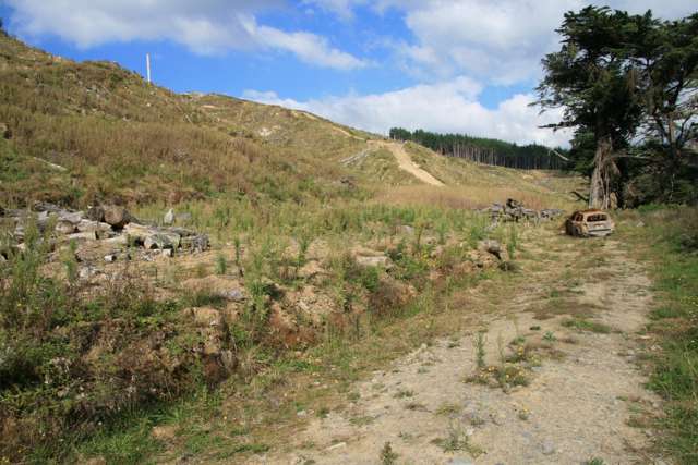 0n Tangahoe Valley Road Ohangai_3