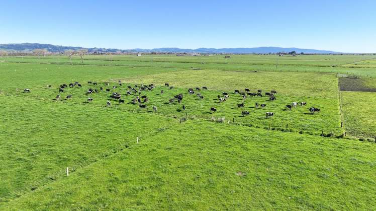 165 Canal Road East Waitakaruru_6