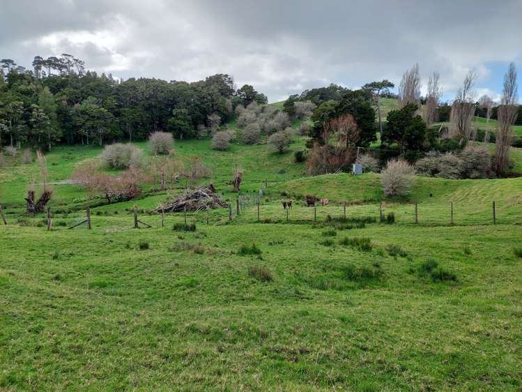 27 Mcgillivray Road Wellsford_10