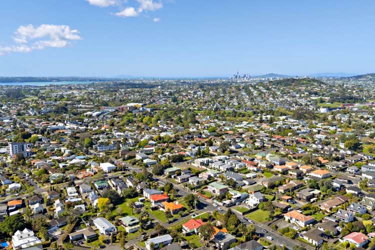 217 Blockhouse Bay Road Avondale_37