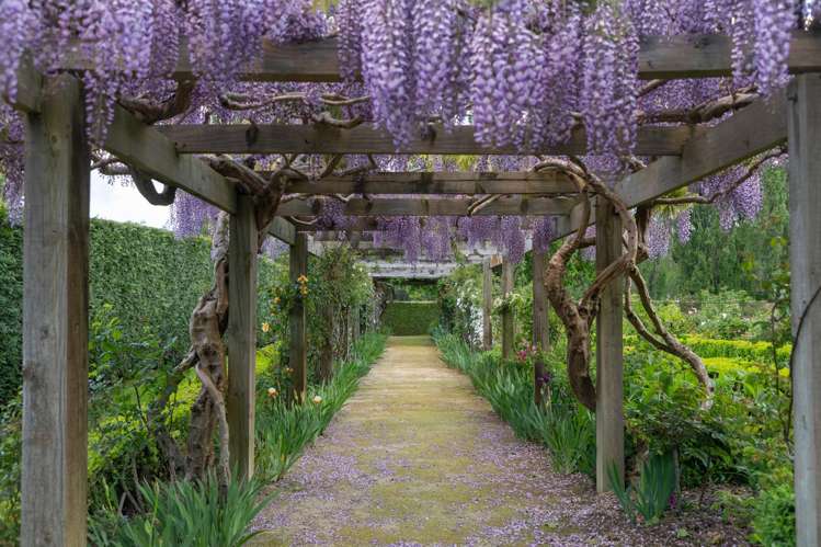 914 Napier Road Whakarongo_11