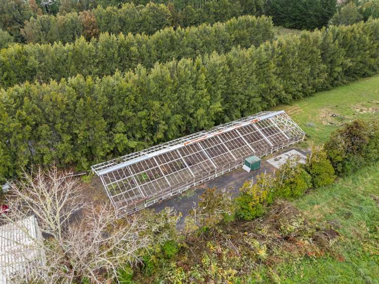 303 Matua Road Kumeu_41