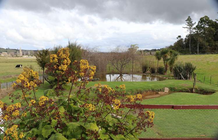 412a Paihia Road Kawakawa_15