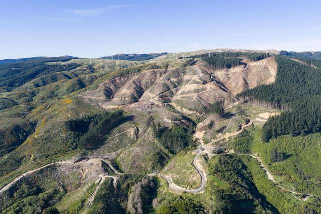 68-69 Creek Flat Lane Aokautere_2