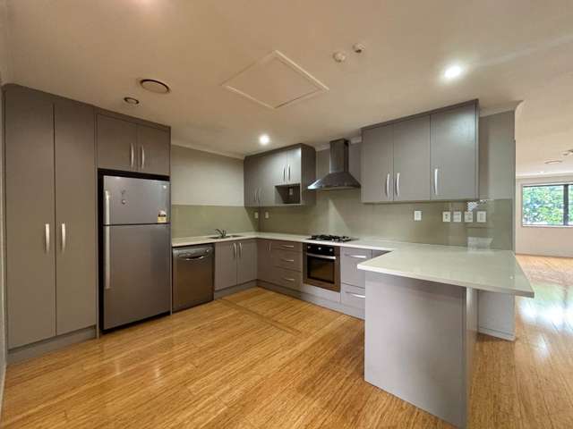 Modern living above the Panmure shops