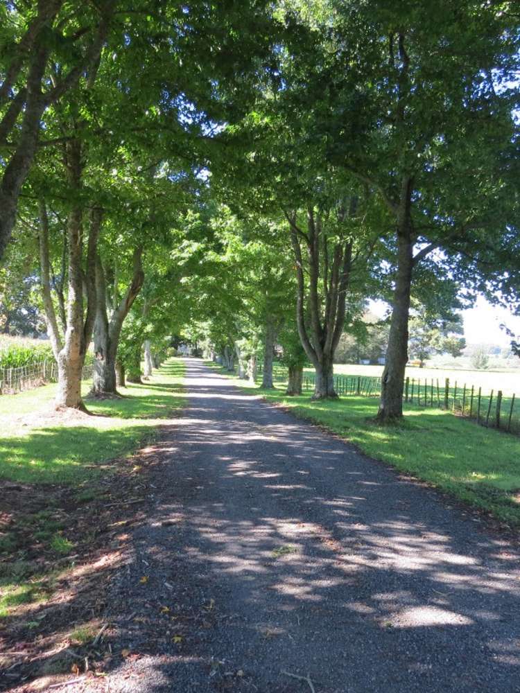 6261 State Highway 1 Kinleith_21