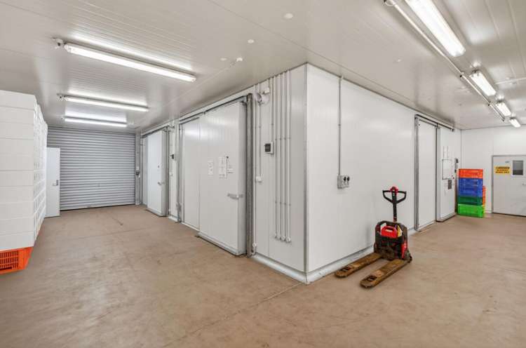 25 Izone Drive Rolleston_10