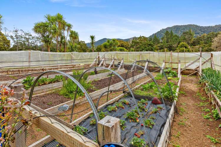 3744 State Highway 10 Kaeo_17