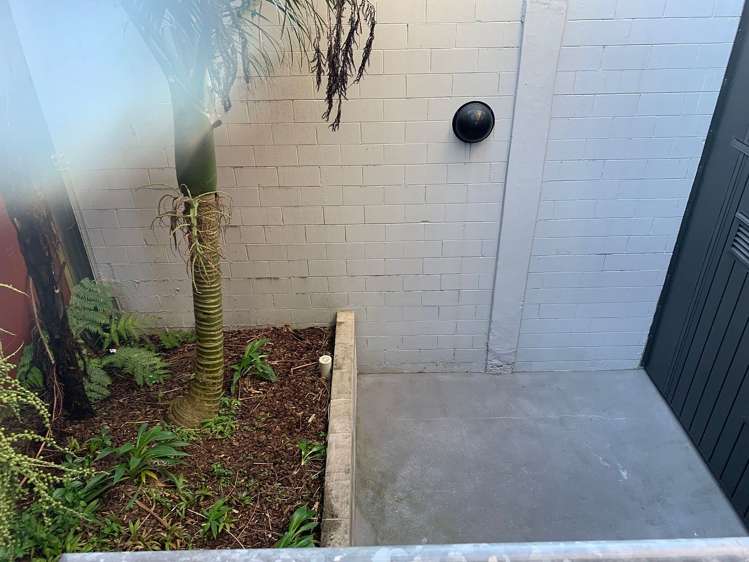 2b/6 Winchester Street Grey Lynn_16