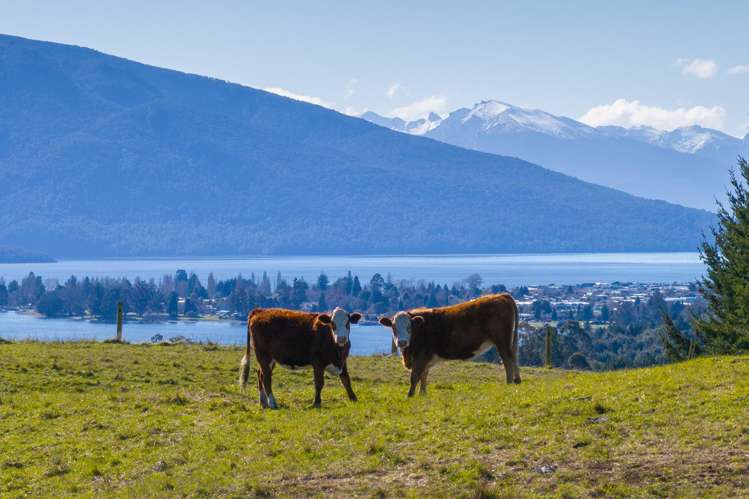 66 Forest Burn Lane Te Anau_8