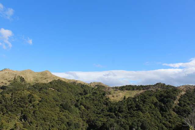 299 Branscombe Road Pongaroa_4