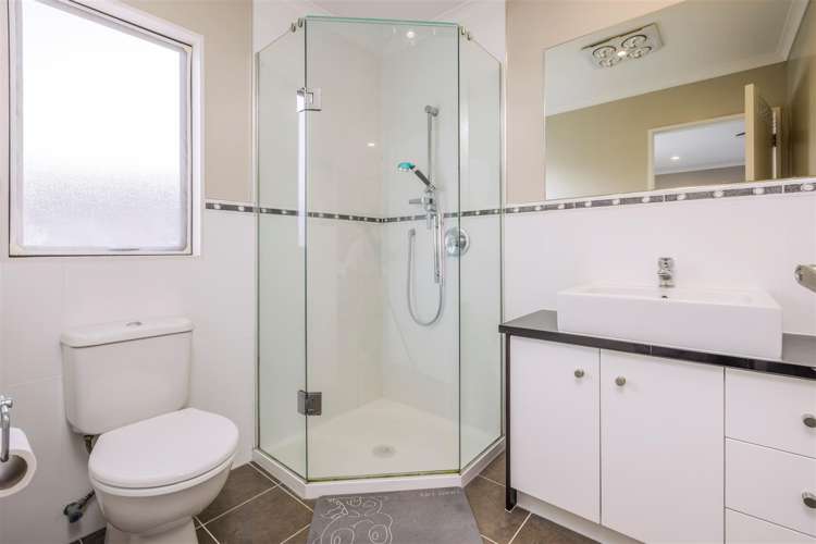 75 Mandival Avenue Flat Bush_14