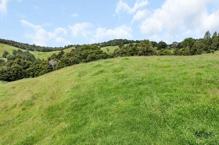 123 Homackey Road Matakohe_24