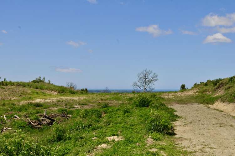 Lot 1 Gaudion Road, Peebles Oamaru_7