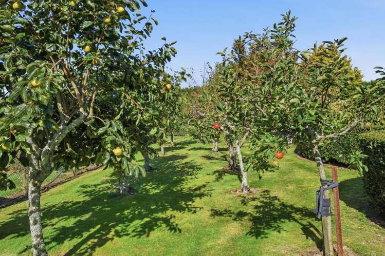 78B Walker Road East Aongatete_17