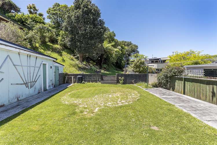 3 Roy Street Tawa_18