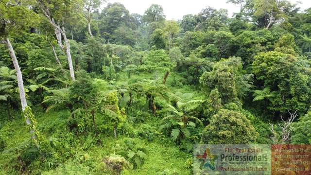 Address withheld Taveuni_2