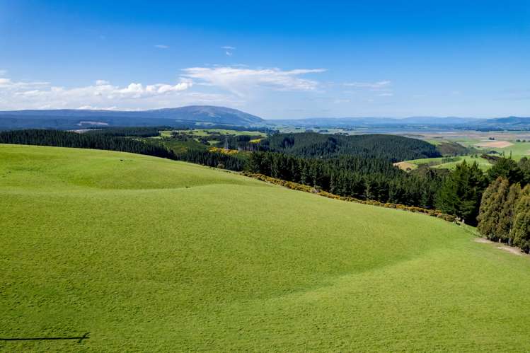 Waihola Hill Road Milton_5