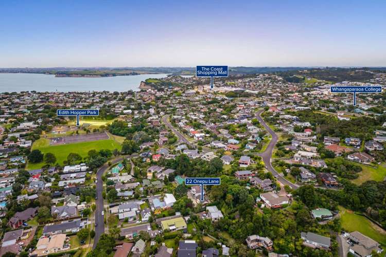 22 Onepu Lane Manly_25