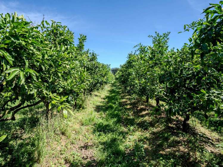 581D Kerikeri Road Kerikeri_13