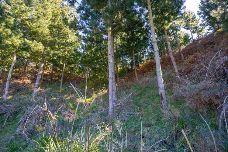 725 Raumai Road Bulls_29