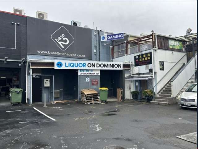 Ground/256 Dominion Road Mount Eden_2