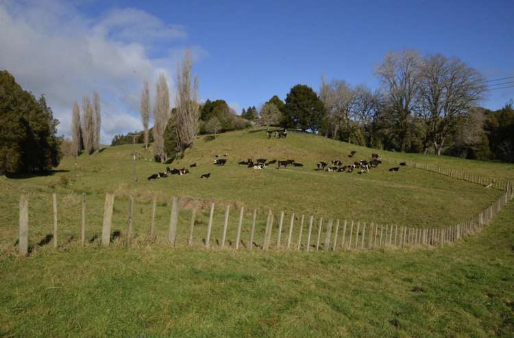 154 State Highway 3 Te Kuiti_5