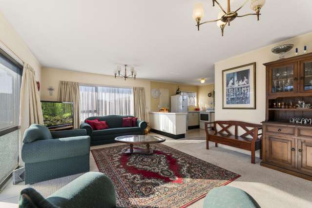 161a Boucher Avenue Te Puke_2